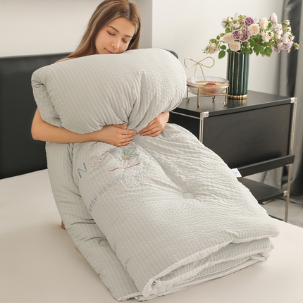 蓝冰家纺 2024新款泡泡棉刺绣被被子被芯冬被 泡芙灰