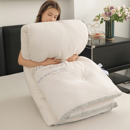 蓝冰家纺 2024新款泡泡棉刺绣被被子被芯冬被 泡芙白