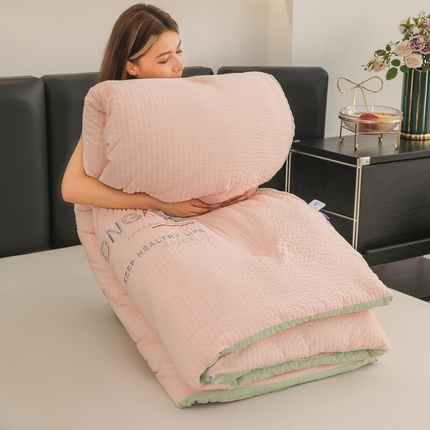 蓝冰家纺 2024新款泡泡棉刺绣被被子被芯冬被 泡芙粉