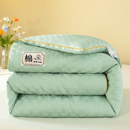 初相识被业 2025新款水洗棉提花大豆被子被芯 浅绿