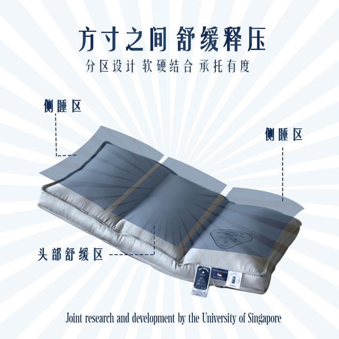 91家纺网 家纺一手货源 找家纺 （总）觉物 2024新款新加坡三分区定型枕枕头枕芯