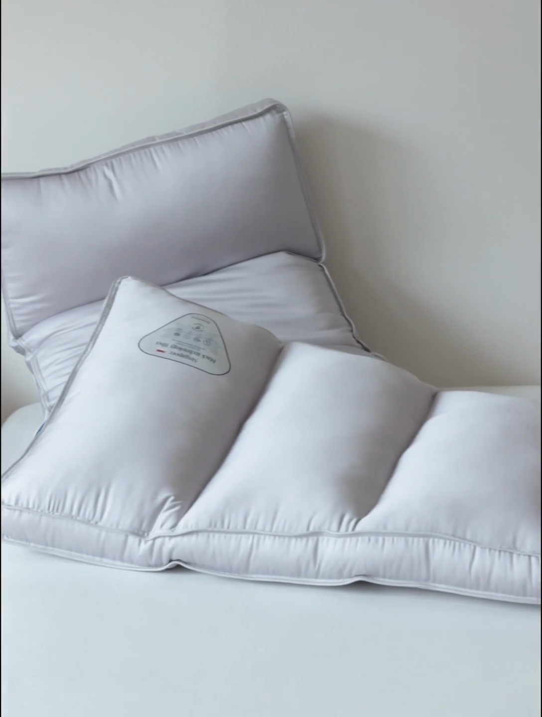 91家纺网 家纺一手货源 找家纺 （总）觉物 2024新款新加坡三分区定型枕枕头枕芯