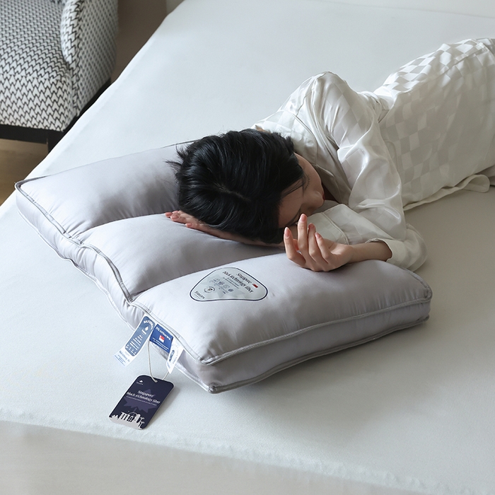 91家纺网 家纺一手货源 找家纺 （总）觉物 2024新款新加坡三分区定型枕枕头枕芯