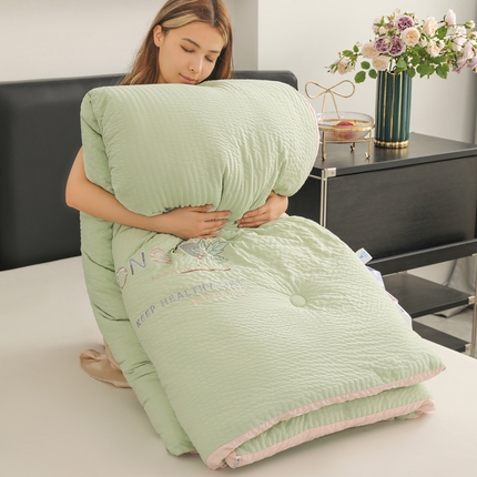 蓝冰家纺 2024新款泡泡棉刺绣被被子被芯冬被 泡芙绿