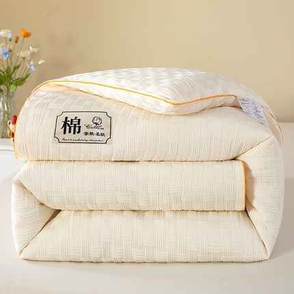 初相识被业 2025新款水洗棉提花大豆被子被芯 米白