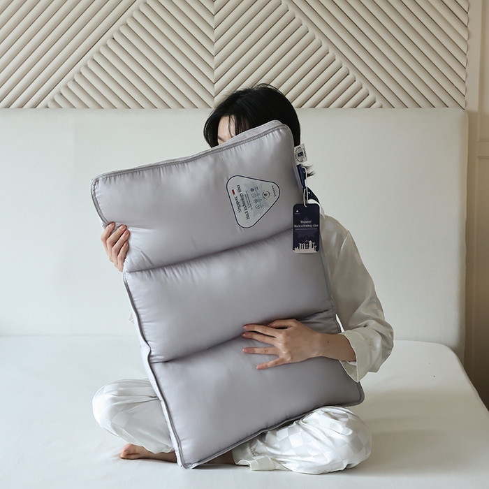 91家纺网 家纺一手货源 找家纺 （总）觉物 2024新款新加坡三分区定型枕枕头枕芯