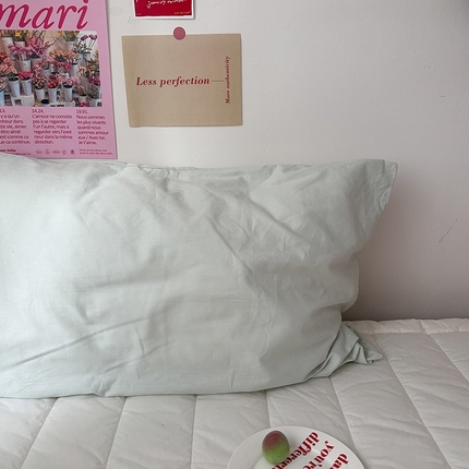 91家纺网 家纺一手货源 找家纺 恋恋三季 2024新款13372全棉40支四件套单品枕套碎花系列 冰沙绿