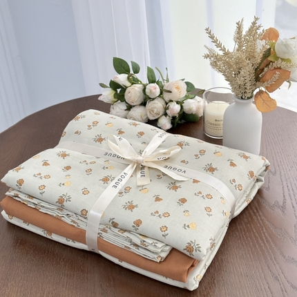 （总）黛馨 2025新款A类小清新双层纱四件套---系列二