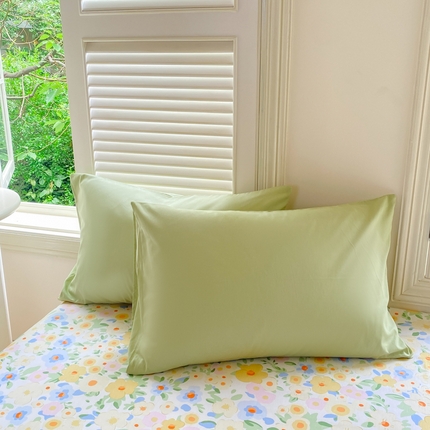 91家纺网 家纺一手货源 找家纺 （总）黑马家居 2025新款全棉喷气13070印花单品枕套