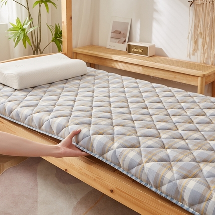 91家纺网 家纺一手货源 找家纺 （总）迪乐妮 2024新款单人床乳胶椰棕床垫