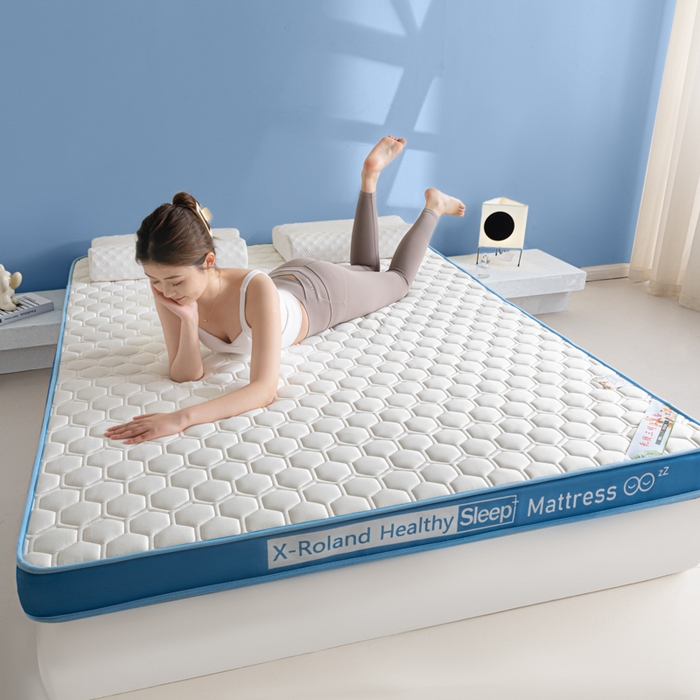 91家纺网 家纺一手货源 找家纺 欣罗兰垫业 2024新款A类牛奶丝记忆棉床垫 菱形蓝