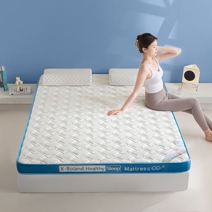 欣罗兰垫业 2024新款A类牛奶丝记忆棉床垫 祥云蓝