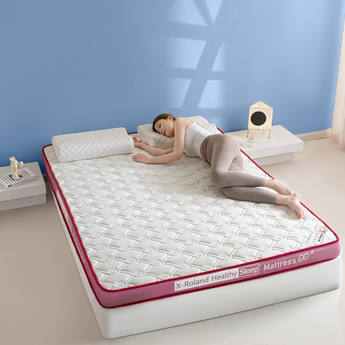 91家纺网 家纺一手货源 找家纺 欣罗兰垫业 2024新款A类牛奶丝记忆棉床垫 祥云粉