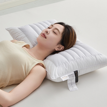 91家纺网 家纺一手货源 找家纺 （总）安力森/诚臻酒店用品酒店用品 2025新款全棉酒店宾馆民宿荞麦壳荞麦枕芯枕头