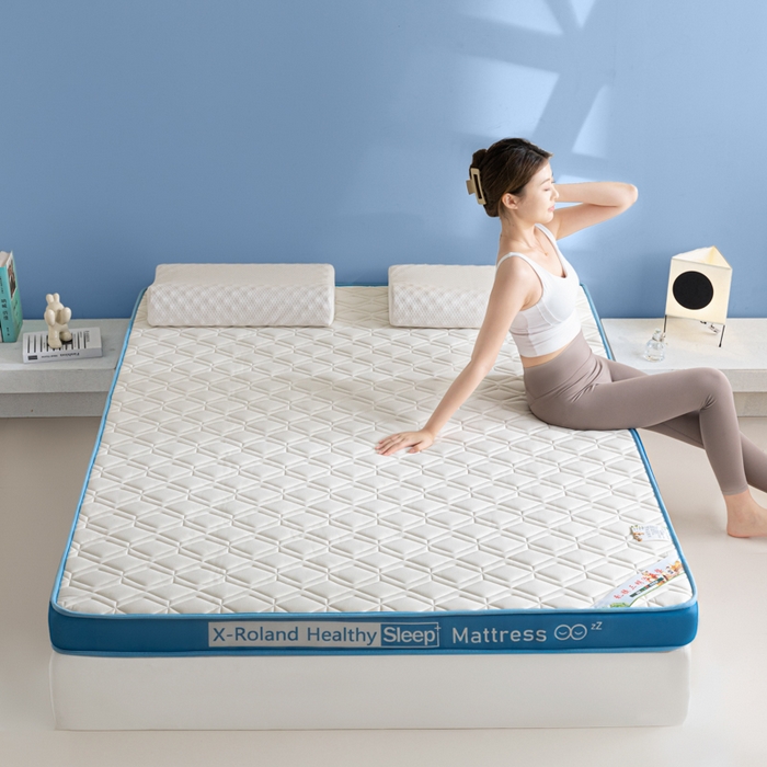 91家纺网 家纺一手货源 找家纺 欣罗兰垫业 2024新款A类牛奶丝记忆棉床垫 梦幻蓝