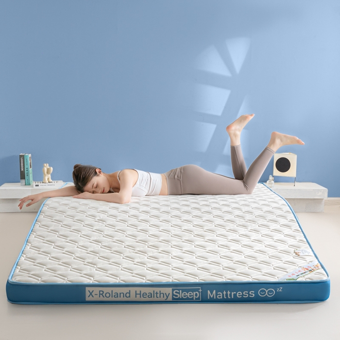 91家纺网 家纺一手货源 找家纺 欣罗兰垫业 2024新款A类牛奶丝记忆棉床垫 梦幻蓝