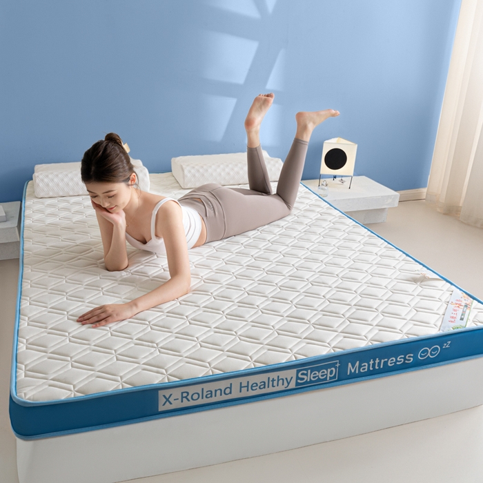 91家纺网 家纺一手货源 找家纺 欣罗兰垫业 2024新款A类牛奶丝记忆棉床垫 梦幻蓝