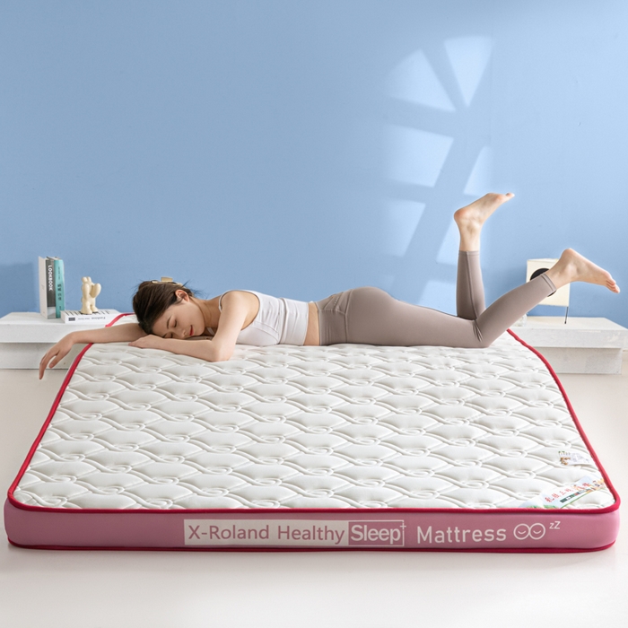 91家纺网 家纺一手货源 找家纺 欣罗兰垫业 2024新款A类牛奶丝记忆棉床垫 祥云粉