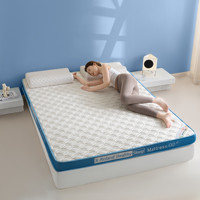 91家纺网 家纺一手货源 找家纺 欣罗兰垫业 2024新款A类牛奶丝记忆棉床垫 梦幻蓝