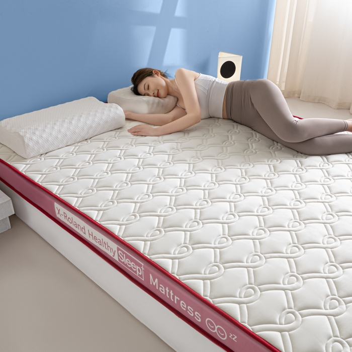 91家纺网 家纺一手货源 找家纺 欣罗兰垫业 2024新款A类牛奶丝记忆棉床垫 祥云粉