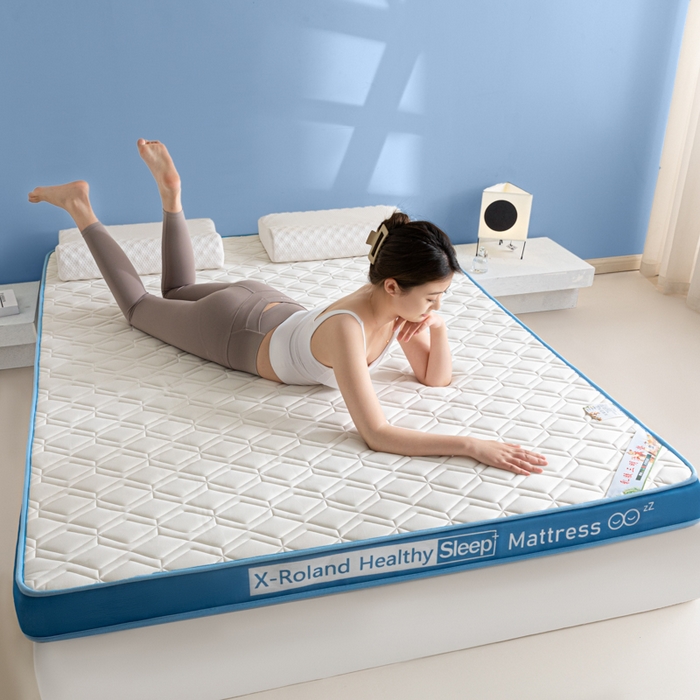 91家纺网 家纺一手货源 找家纺 欣罗兰垫业 2024新款A类牛奶丝记忆棉床垫 梦幻蓝