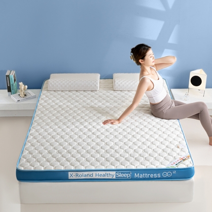欣罗兰垫业 2024新款A类牛奶丝记忆棉床垫 菱形蓝