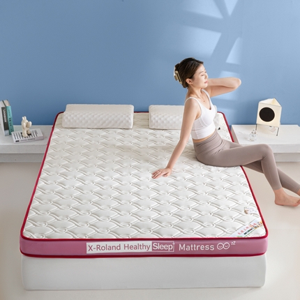 91家纺网 家纺一手货源 找家纺 欣罗兰垫业 2024新款A类牛奶丝记忆棉床垫 祥云粉