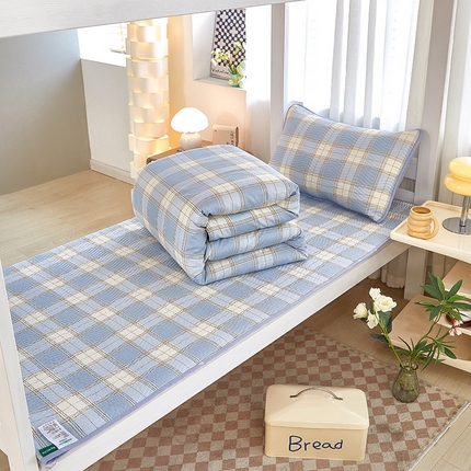 （总）莎果家纺 2024新款学生款双面纯棉印花款高温砂洗床盖三件套