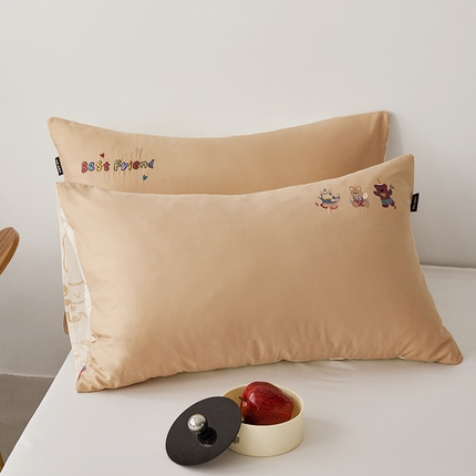 2024新款全棉纯棉印花刺绣单枕套卡通一对装 动物派对