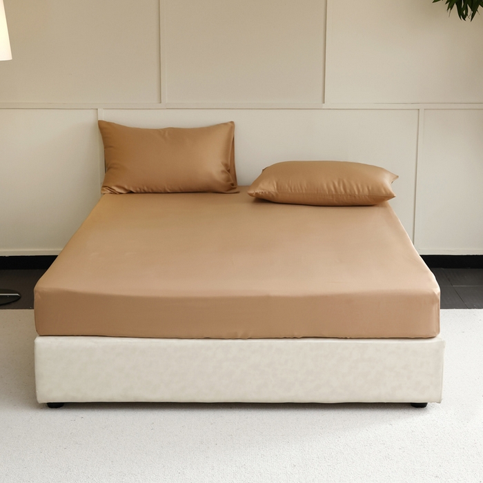 91家纺网 家纺一手货源 找家纺 轩和 2025新款A类LF60S兰精天丝单品床笠 拿铁咖