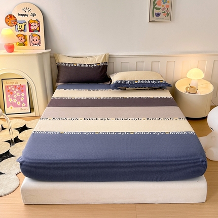 2025新款加厚生态磨毛单床笠 塞利维亚