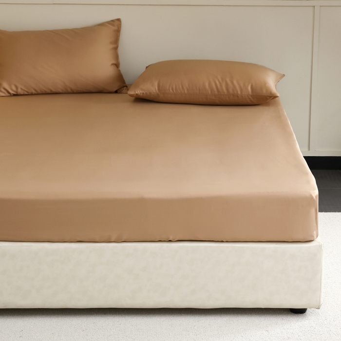 91家纺网 家纺一手货源 找家纺 轩和 2025新款A类LF60S兰精天丝单品床笠 拿铁咖