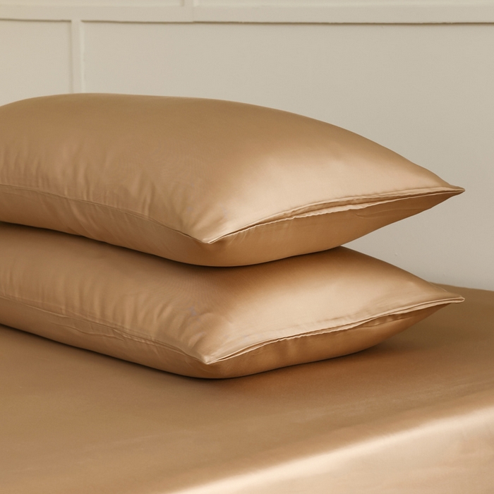 91家纺网 家纺一手货源 找家纺 轩和 2025新款A类LF60S兰精天丝单品枕套 拿铁咖