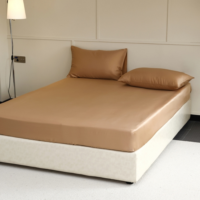 91家纺网 家纺一手货源 找家纺 轩和 2025新款A类LF60S兰精天丝单品床笠 拿铁咖