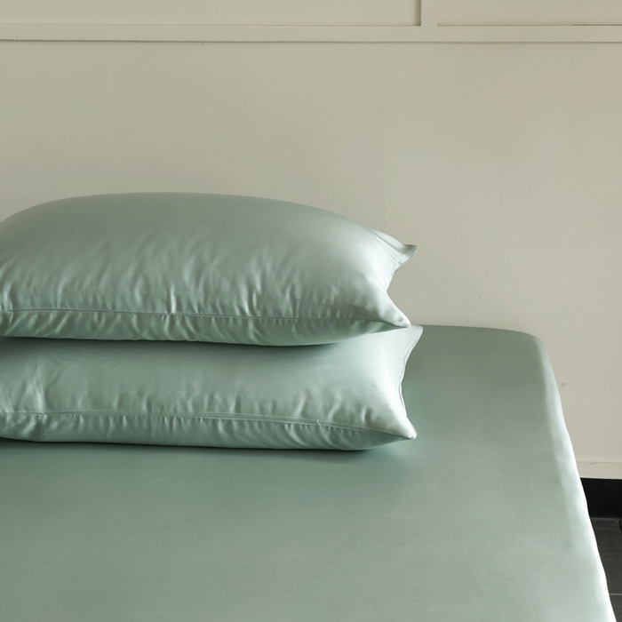 91家纺网 家纺一手货源 找家纺 轩和 2025新款A类LF60S兰精天丝单品枕套 春熙绿