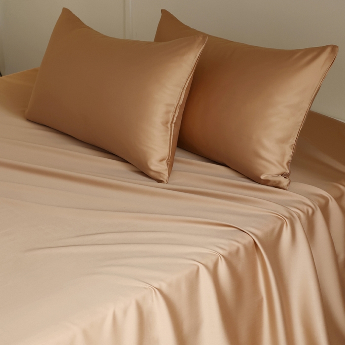 91家纺网 家纺一手货源 找家纺 轩和 2025新款A类LF60S兰精天丝单品床单 拿铁咖