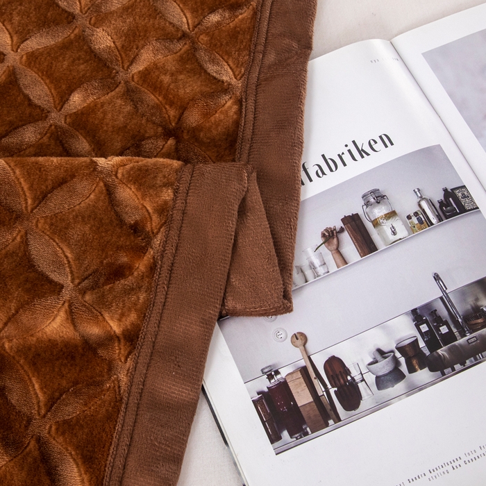 91家纺网 家纺一手货源 找家纺 2025新款铜钱纹大有光提花毛毯保暖盖毯宽包边 咖啡