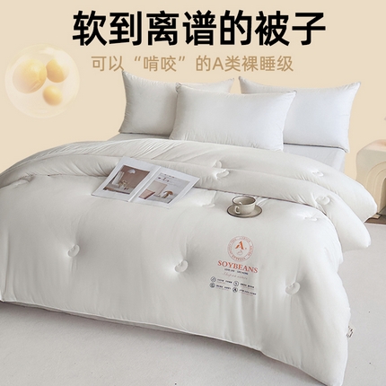 （总）天瑜家纺 2024新款纯色针织冬被大豆被冬被被子被芯