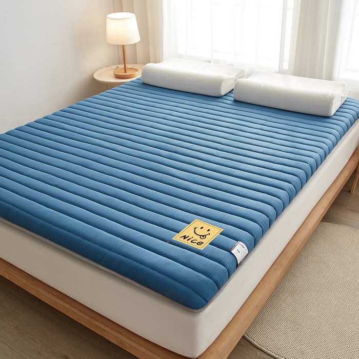 91家纺网 家纺一手货源 找家纺 卡派 2024新款成人款泡泡棉单边抗压床垫 阳光-蓝