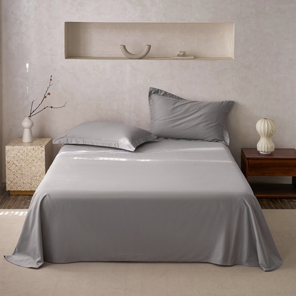 ROZ home 蕊姿家居 2024新款超柔磨毛全棉单床单 银灰