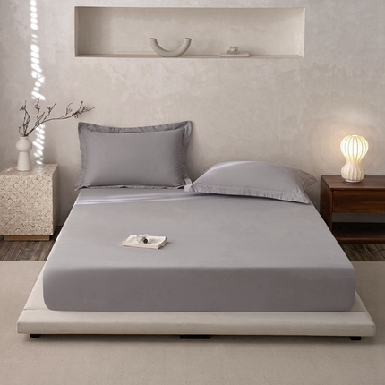 ROZ home 蕊姿家居 2024新款超柔磨毛全棉单床笠 银灰