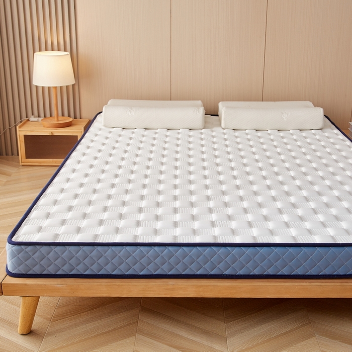 91家纺网 家纺一手货源 找家纺 迪乐妮家居 2024新款牛奶丝加厚加高乳胶记忆棉床垫-布拉格系列  白蓝