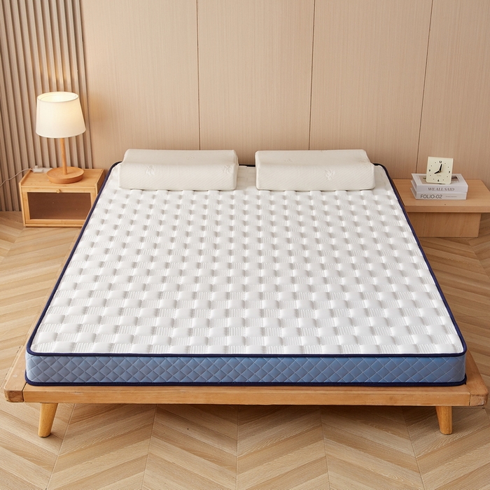 91家纺网 家纺一手货源 找家纺 迪乐妮家居 2024新款牛奶丝加厚加高乳胶记忆棉床垫-布拉格系列  白蓝