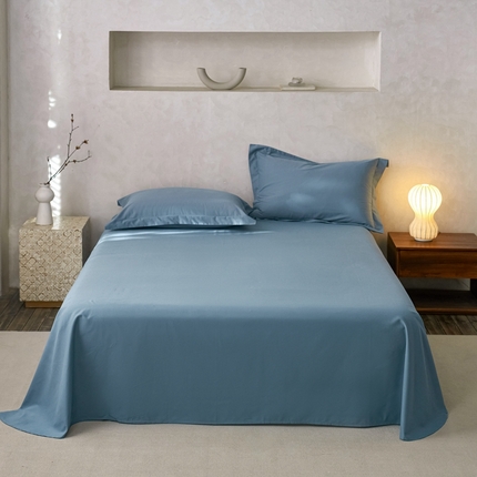 ROZ home 蕊姿家居 2024新款超柔磨毛全棉单床单 夜色蓝