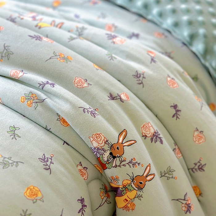 91家纺网 家纺一手货源 找家纺 木堇家居 2024新款针织棉豆豆被大豆四季被冬被被子被芯 针织豆豆被-彼得兔