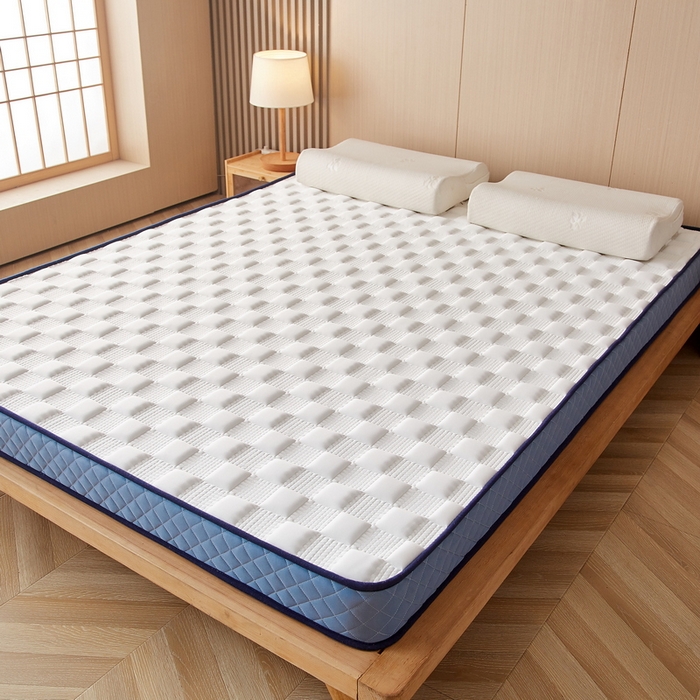 91家纺网 家纺一手货源 找家纺 迪乐妮家居 2024新款牛奶丝加厚加高乳胶记忆棉床垫-布拉格系列  白蓝