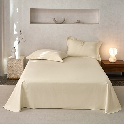 ROZ home 蕊姿家居 2024新款超柔磨毛全棉单床单 米黄