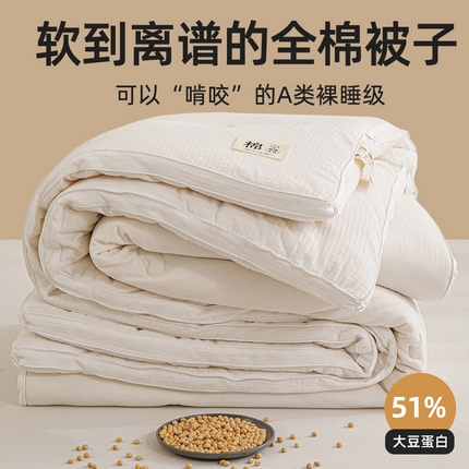 91家纺网 家纺一手货源 找家纺 （总）天瑜家纺 2026新款全棉提花冬被原棉小方格大豆被