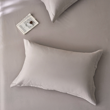 ROZ home 蕊姿家居 2024新款超柔磨毛全棉单枕套 米灰