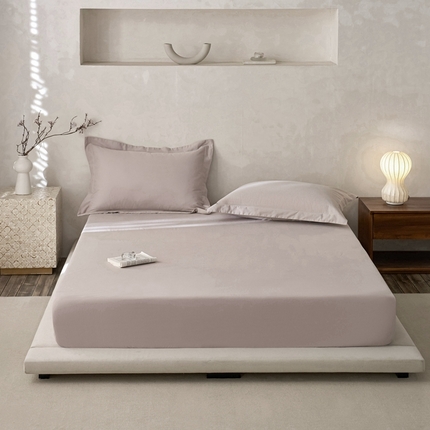 ROZ home 蕊姿家居 2024新款超柔磨毛全棉单床笠 米灰